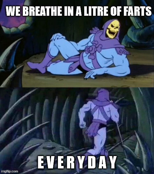 Skeletor disturbing facts | WE BREATHE IN A LITRE OF FARTS; E V E R Y D A Y | image tagged in skeletor disturbing facts | made w/ Imgflip meme maker