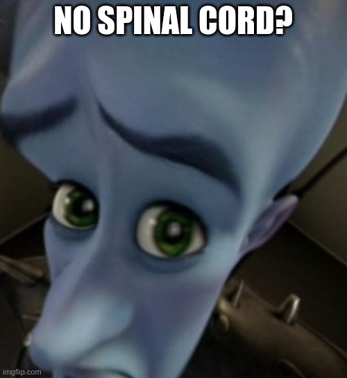 Megamind no bitches | NO SPINAL CORD? | image tagged in megamind no bitches | made w/ Imgflip meme maker