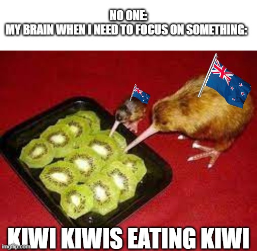 My mind is a weird place. Kiwi birds are cute though. | NO ONE:
MY BRAIN WHEN I NEED TO FOCUS ON SOMETHING:; KIWI KIWIS EATING KIWI | image tagged in memes,funny,kiwi,new zealand,birds,word play | made w/ Imgflip meme maker
