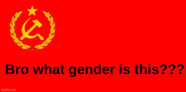 Bro what gender is this??? | made w/ Imgflip meme maker