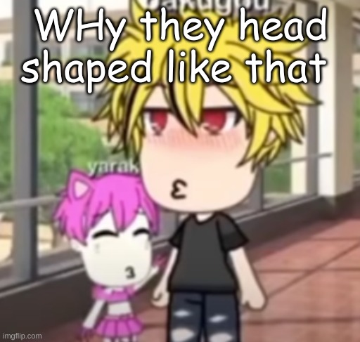 WHy they head shaped like that | made w/ Imgflip meme maker