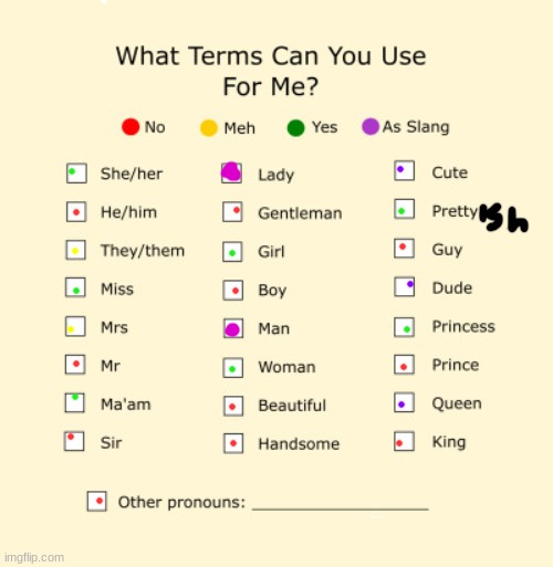 Pronouns Sheet | image tagged in pronouns sheet | made w/ Imgflip meme maker