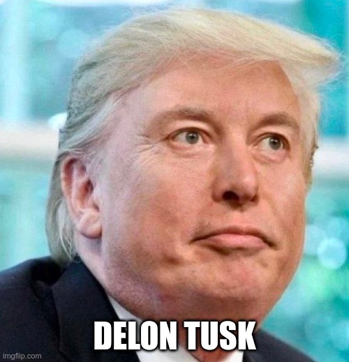 Delon Tusk | DELON TUSK | image tagged in elon musk,trump,qelon,twitter,tesla,idiot | made w/ Imgflip meme maker