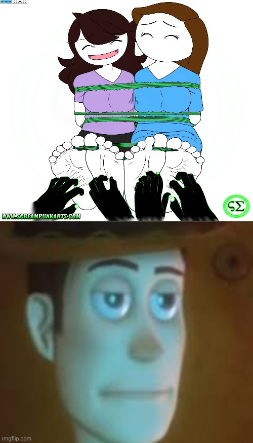 disappointed woody | image tagged in disappointed woody,jaiden animations,let me explain studios,deviantart,tickle,feet | made w/ Imgflip meme maker