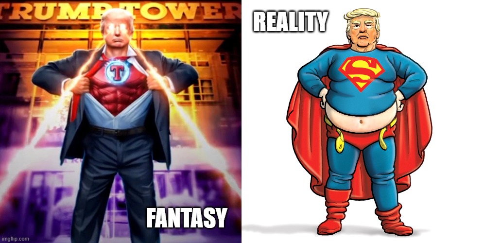 FANTASY vs REALITY | REALITY; FANTASY | image tagged in fantasy,nut,ball,delusional,donald trump is an idiot | made w/ Imgflip meme maker