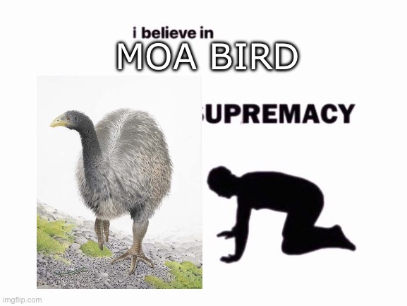 Moa bird | MOA BIRD | image tagged in i believe in blank supremacy,kiwi,moa bird | made w/ Imgflip meme maker