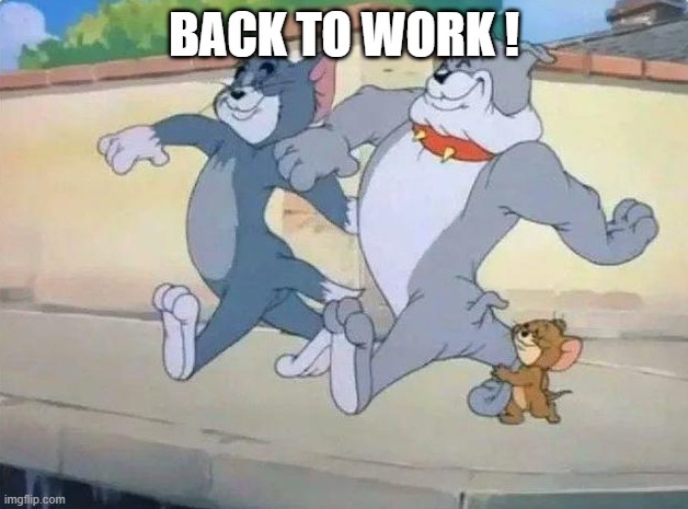 Me and my homies | BACK TO WORK ! | image tagged in me and my homies | made w/ Imgflip meme maker