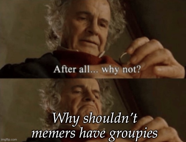 Memers need groupies too | Why shouldn’t memers have groupies | image tagged in after all why not,memers,groupies | made w/ Imgflip meme maker