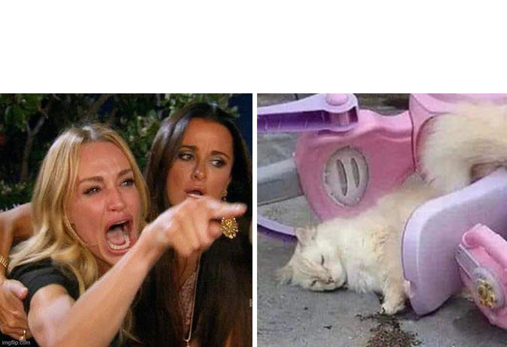 High Quality Woman Yelling at Drunk White Cat Blank Meme Template