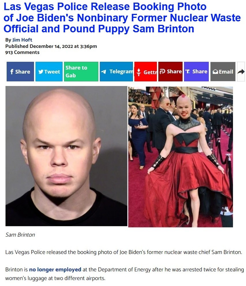 Pervy Joe's Pound Puppy Poster Boy for Mental Illness is Headed For Prison | image tagged in pound puppy,sam brinton,sexual deviants,perverts,mental illness,poster boy | made w/ Imgflip meme maker