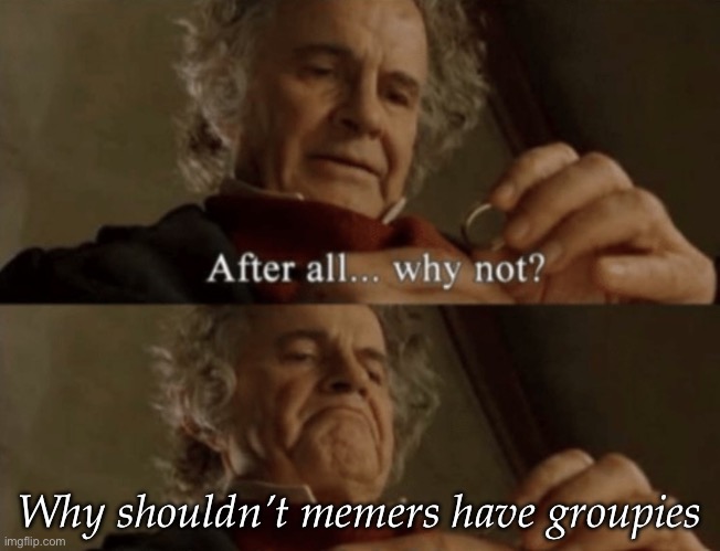 After all.. why not? | Why shouldn’t memers have groupies | image tagged in after all why not | made w/ Imgflip meme maker