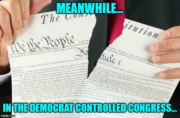 MEANWHILE... IN THE DEMOCRAT CONTROLLED CONGRESS... | made w/ Imgflip meme maker