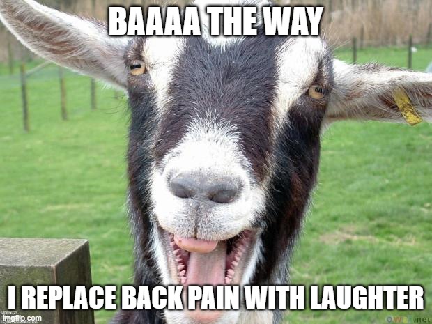 Funny Goat | BAAAA THE WAY; I REPLACE BACK PAIN WITH LAUGHTER | image tagged in funny goat | made w/ Imgflip meme maker