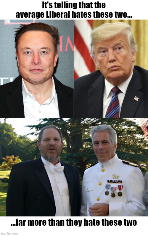 I'm not making any accusations, but... | It's telling that the average Liberal hates these two... ...far more than they hate these two | image tagged in liberals,cognitive dissonance,donald trump,elon musk,jeffrey epstein,harvey weinstein | made w/ Imgflip meme maker