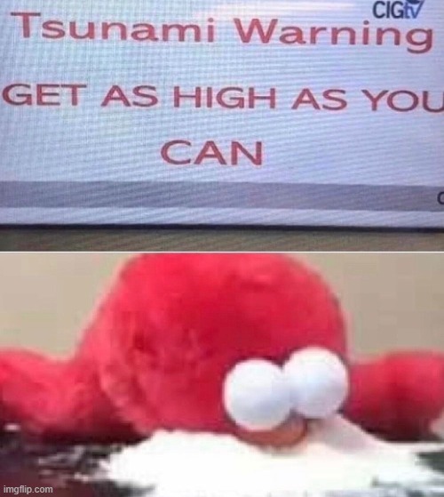 image tagged in memes | made w/ Imgflip meme maker