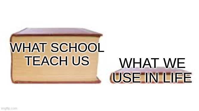 ._. | WHAT WE USE IN LIFE; WHAT SCHOOL TEACH US | image tagged in big book small book | made w/ Imgflip meme maker