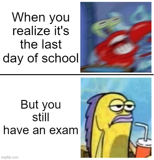Memes only true students can understand | When you realize it's the last day of school; But you still have an exam | image tagged in excited vs bored | made w/ Imgflip meme maker