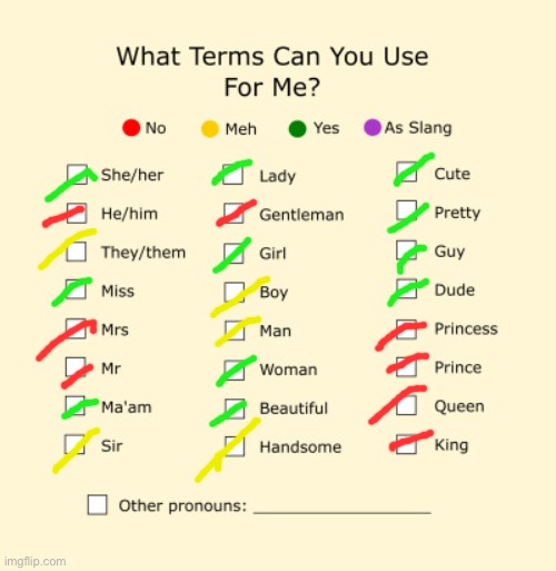 Pronouns Sheet | image tagged in pronouns sheet | made w/ Imgflip meme maker