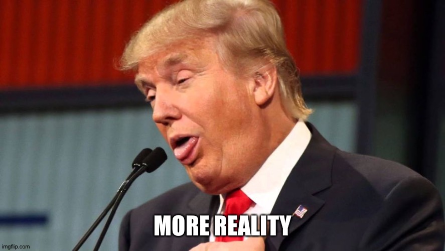 Stupid trump | MORE REALITY | image tagged in stupid trump | made w/ Imgflip meme maker