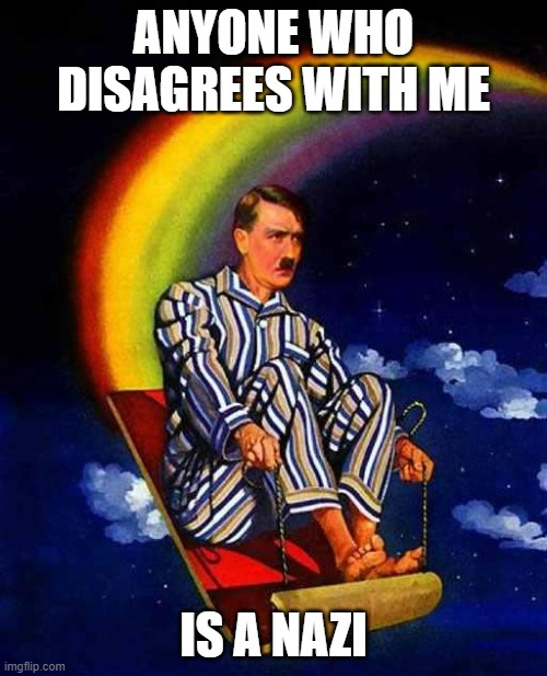 Anyone who disagrees with me is a nazi | ANYONE WHO DISAGREES WITH ME; IS A NAZI | image tagged in random hitler,funny memes | made w/ Imgflip meme maker