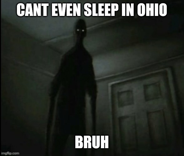 ??? | CANT EVEN SLEEP IN OHIO; BRUH | image tagged in ohio | made w/ Imgflip meme maker