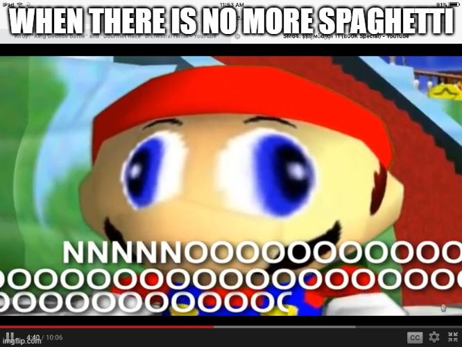 bruh | WHEN THERE IS NO MORE SPAGHETTI | image tagged in smg4 | made w/ Imgflip meme maker