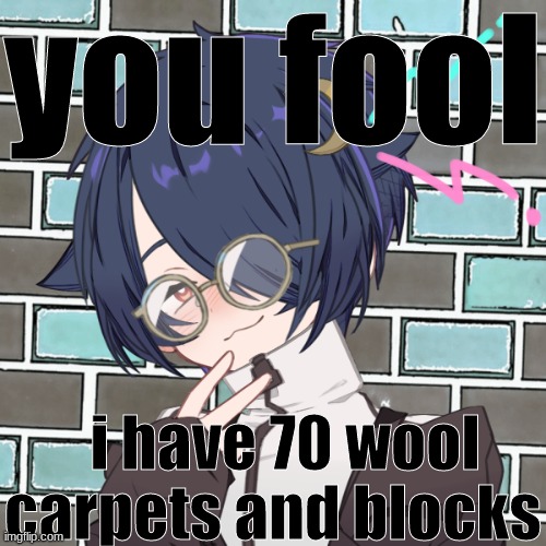 you fool... I HAVE 70 ALTERNATIVE ACCOUNTS | you fool i have 70 wool carpets and blocks | image tagged in you fool i have 70 alternative accounts | made w/ Imgflip meme maker