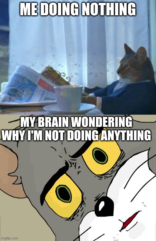 i probably used this wrong | ME DOING NOTHING; MY BRAIN WONDERING WHY I'M NOT DOING ANYTHING | image tagged in memes,i should buy a boat cat,unsettled tom | made w/ Imgflip meme maker