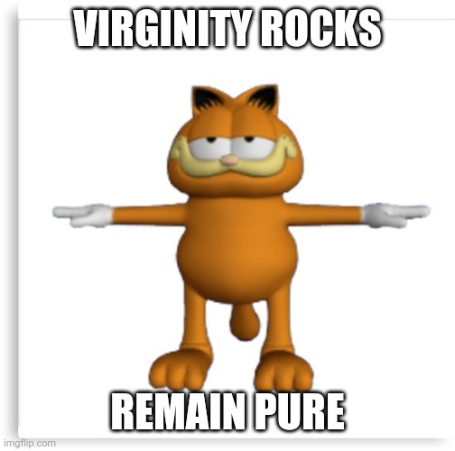 Stay in school kids, don't do drugs | VIRGINITY ROCKS; REMAIN PURE | image tagged in garfield tpose | made w/ Imgflip meme maker