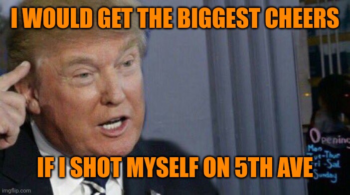 Trump Roll Safe | I WOULD GET THE BIGGEST CHEERS IF I SHOT MYSELF ON 5TH AVE | image tagged in trump roll safe | made w/ Imgflip meme maker