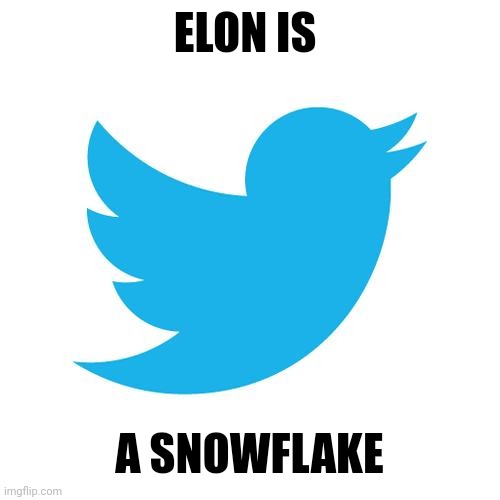 Twitter birds says | ELON IS A SNOWFLAKE | image tagged in twitter birds says | made w/ Imgflip meme maker