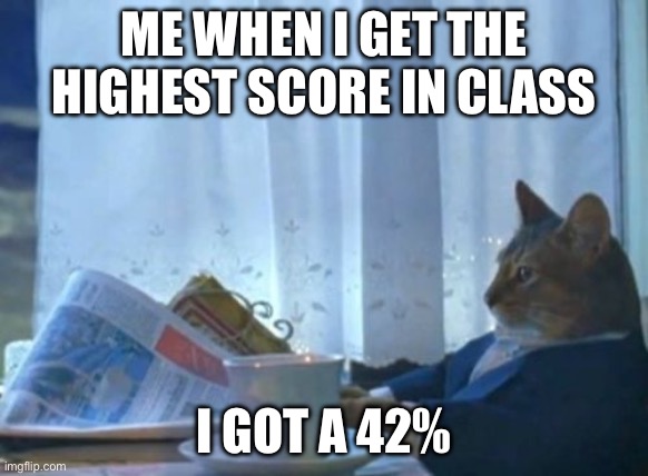 LOL | ME WHEN I GET THE HIGHEST SCORE IN CLASS; I GOT A 42% | image tagged in memes,i should buy a boat cat | made w/ Imgflip meme maker