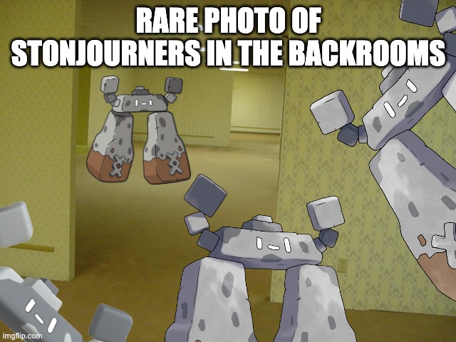 rare photo of them in the backrooms | RARE PHOTO OF STONJOURNERS IN THE BACKROOMS | image tagged in the backrooms,stonjourner | made w/ Imgflip meme maker