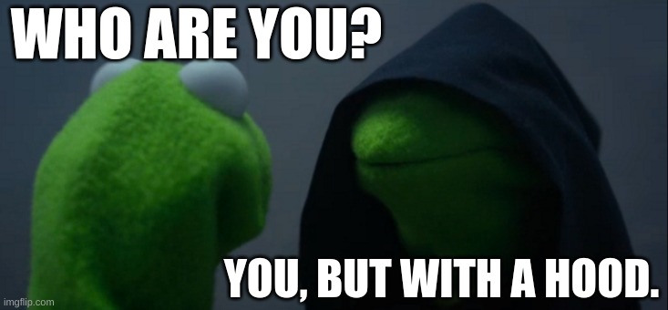 What? | WHO ARE YOU? YOU, BUT WITH A HOOD. | image tagged in memes,evil kermit | made w/ Imgflip meme maker