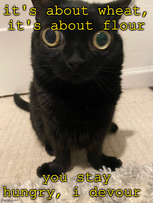 Jinx <3 | it's about wheat, it's about flour; you stay hungry, i devour | image tagged in jinx 3 | made w/ Imgflip meme maker