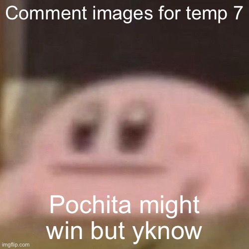 kirb | Comment images for temp 7; Pochita might win but yknow | image tagged in kirb | made w/ Imgflip meme maker