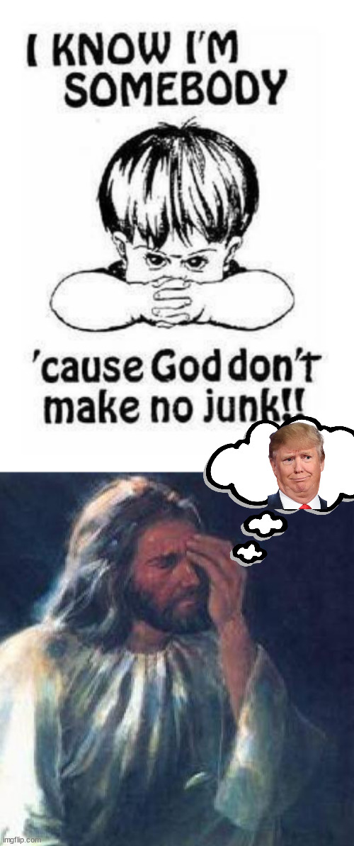 Nobody's perfect. | image tagged in jesus facepalm,pos trump | made w/ Imgflip meme maker