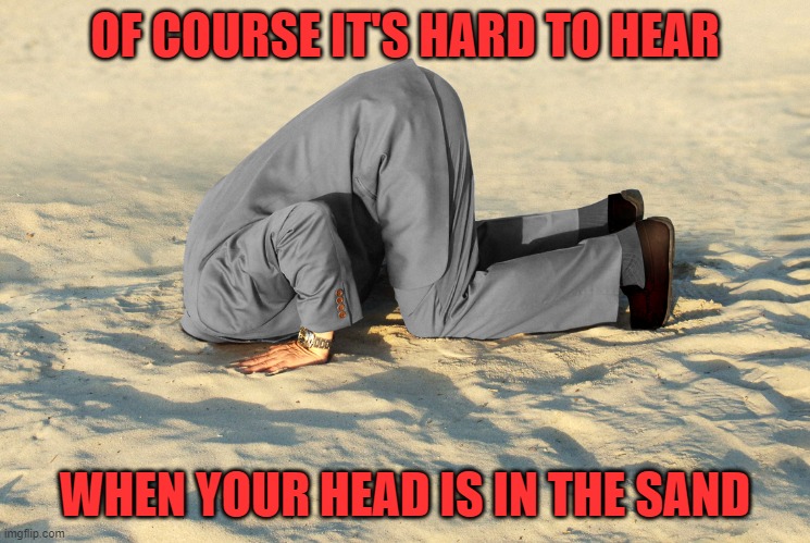 head in sand | OF COURSE IT'S HARD TO HEAR WHEN YOUR HEAD IS IN THE SAND | image tagged in head in sand | made w/ Imgflip meme maker