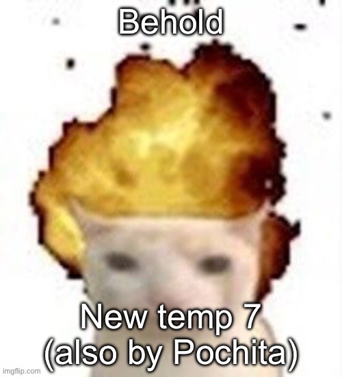 boom cat | Behold; New temp 7 (also by Pochita) | image tagged in boom cat | made w/ Imgflip meme maker