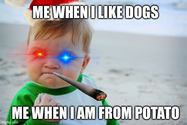 dogs | ME WHEN I LIKE DOGS; ME WHEN I AM FROM POTATO | image tagged in memes,success kid original | made w/ Imgflip meme maker