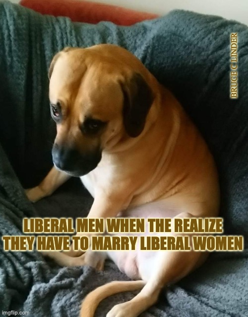 Dog of Shame | BRUCE C LINDER; LIBERAL MEN WHEN THE REALIZE THEY HAVE TO MARRY LIBERAL WOMEN | image tagged in dog of shame,self hate,depression | made w/ Imgflip meme maker