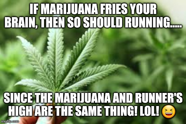 marijuana | IF MARIJUANA FRIES YOUR BRAIN, THEN SO SHOULD RUNNING..... SINCE THE MARIJUANA AND RUNNER'S HIGH ARE THE SAME THING! LOL! 😆 | image tagged in marijuana | made w/ Imgflip meme maker