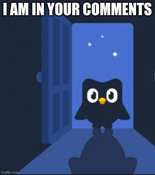 Duolingo bird | I AM IN YOUR COMMENTS | image tagged in duolingo bird | made w/ Imgflip meme maker