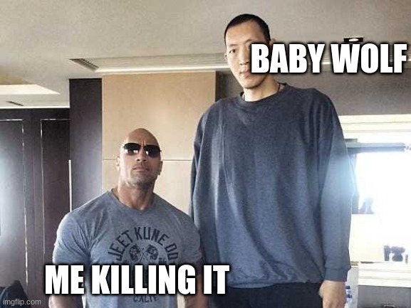 sous | BABY WOLF; ME KILLING IT | image tagged in dwayne the rock and sun the tall guy | made w/ Imgflip meme maker