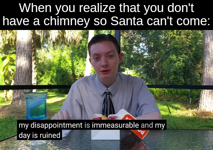 unfortunately true | When you realize that you don't have a chimney so Santa can't come: | image tagged in my disappointment is immeasurable,funny,memes,fun,pain,why | made w/ Imgflip meme maker