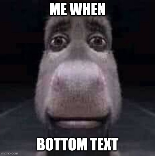 me when | ME WHEN; BOTTOM TEXT | image tagged in donkey staring | made w/ Imgflip meme maker
