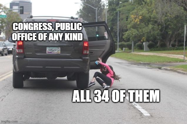 Kicked Out of Car | ALL 34 OF THEM CONGRESS, PUBLIC OFFICE OF ANY KIND | image tagged in kicked out of car | made w/ Imgflip meme maker