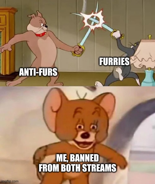 Lmao | FURRIES; ANTI-FURS; ME, BANNED FROM BOTH STREAMS | image tagged in tom and spike fighting | made w/ Imgflip meme maker