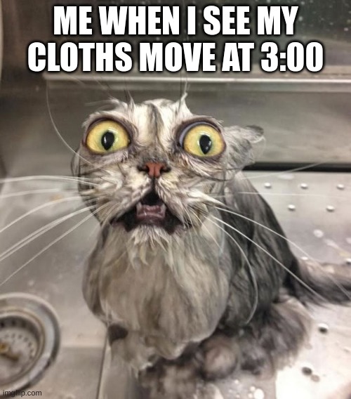 Wet Scary Cat | ME WHEN I SEE MY CLOTHS MOVE AT 3:00 | image tagged in wet scary cat | made w/ Imgflip meme maker