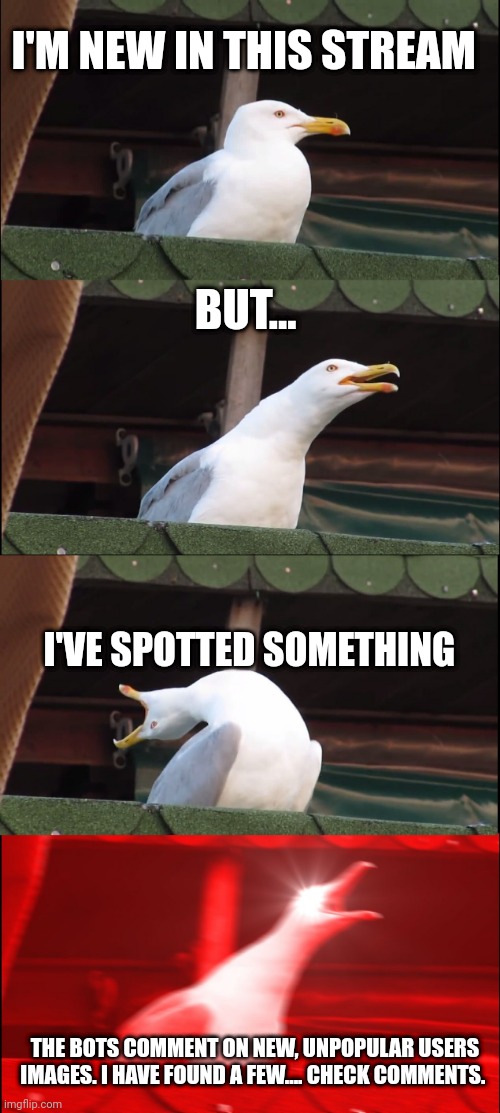 Check comments | I'M NEW IN THIS STREAM; BUT... I'VE SPOTTED SOMETHING; THE BOTS COMMENT ON NEW, UNPOPULAR USERS IMAGES. I HAVE FOUND A FEW.... CHECK COMMENTS. | image tagged in memes,inhaling seagull | made w/ Imgflip meme maker
